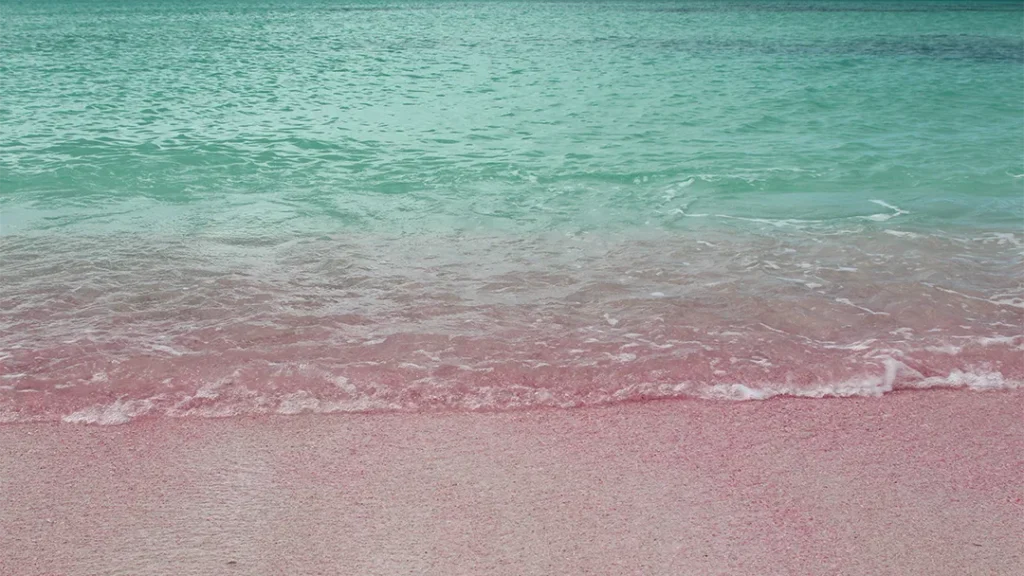 Barbuda Pink Sands Beach