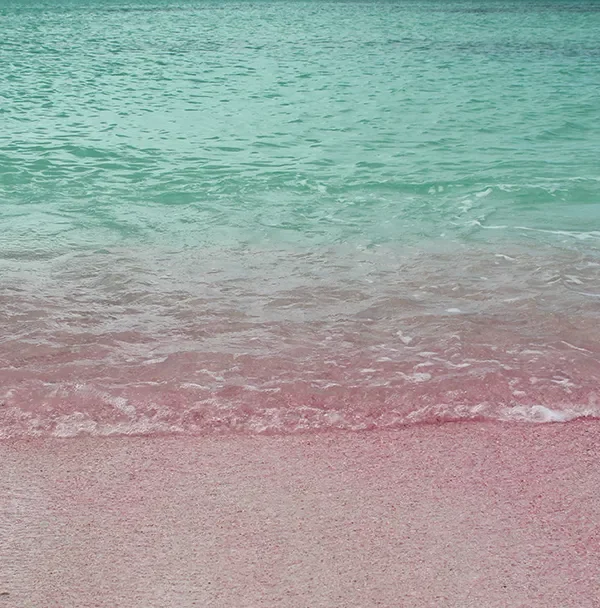 Barbuda Pink Sands Beach