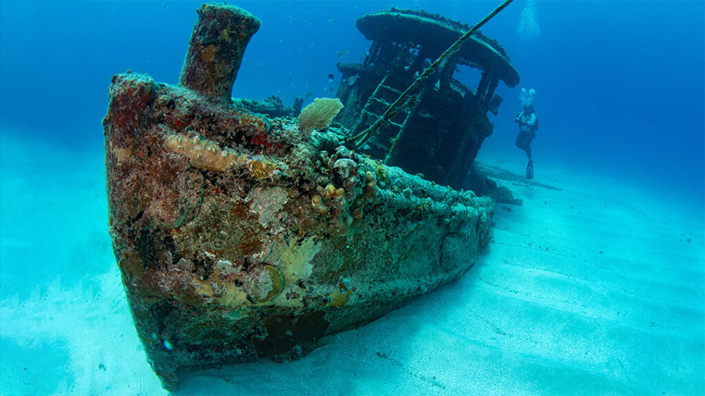 Grand Case Diving fish wreck